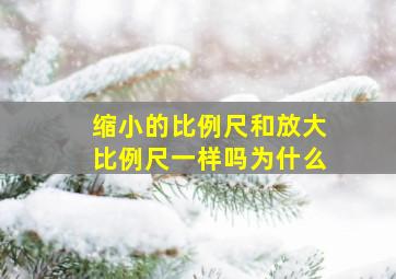 缩小的比例尺和放大比例尺一样吗为什么