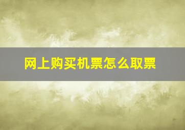 网上购买机票怎么取票