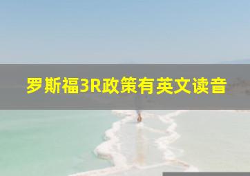 罗斯福3R政策有英文读音