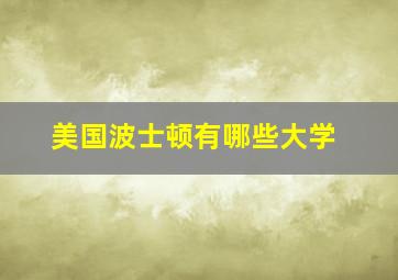 美国波士顿有哪些大学