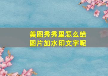 美图秀秀里怎么给图片加水印文字呢