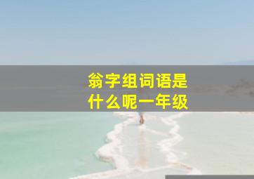 翁字组词语是什么呢一年级