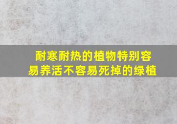 耐寒耐热的植物特别容易养活不容易死掉的绿植