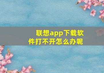 联想app下载软件打不开怎么办呢