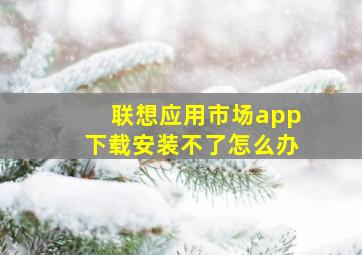 联想应用市场app下载安装不了怎么办