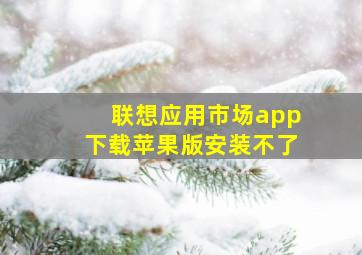 联想应用市场app下载苹果版安装不了