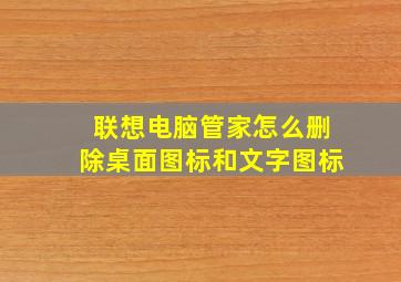 联想电脑管家怎么删除桌面图标和文字图标