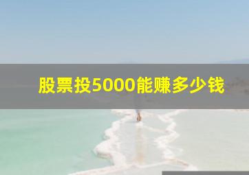 股票投5000能赚多少钱