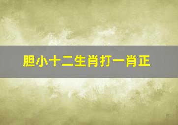 胆小十二生肖打一肖正