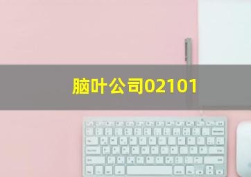 脑叶公司02101