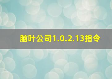 脑叶公司1.0.2.13指令