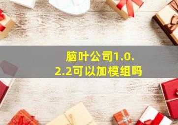 脑叶公司1.0.2.2可以加模组吗