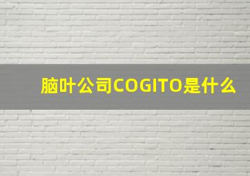 脑叶公司COGITO是什么