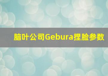 脑叶公司Gebura捏脸参数