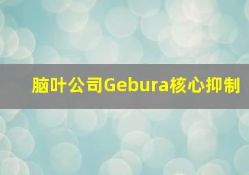 脑叶公司Gebura核心抑制