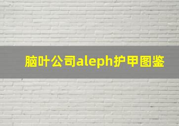 脑叶公司aleph护甲图鉴