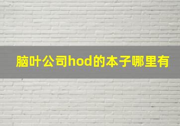 脑叶公司hod的本子哪里有