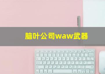 脑叶公司waw武器