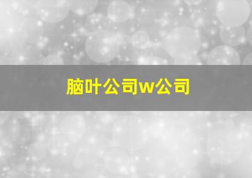 脑叶公司w公司