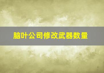 脑叶公司修改武器数量