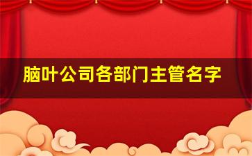 脑叶公司各部门主管名字