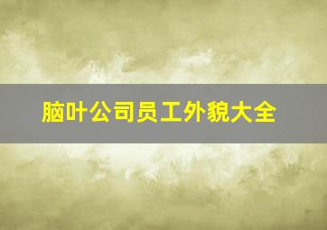 脑叶公司员工外貌大全