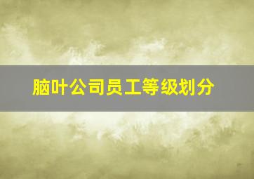 脑叶公司员工等级划分