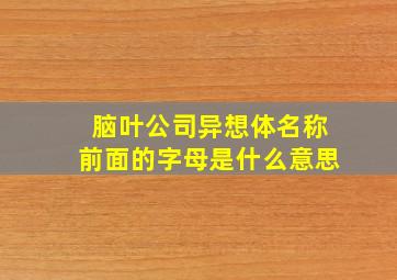 脑叶公司异想体名称前面的字母是什么意思