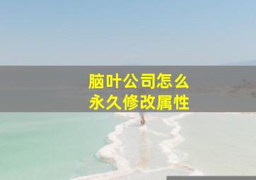 脑叶公司怎么永久修改属性