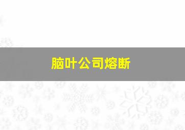 脑叶公司熔断