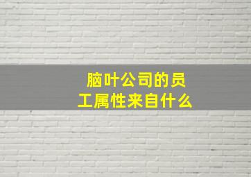 脑叶公司的员工属性来自什么