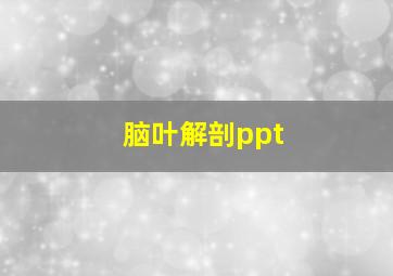 脑叶解剖ppt