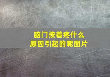 脑门按着疼什么原因引起的呢图片