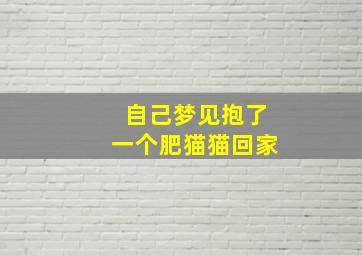 自己梦见抱了一个肥猫猫回家