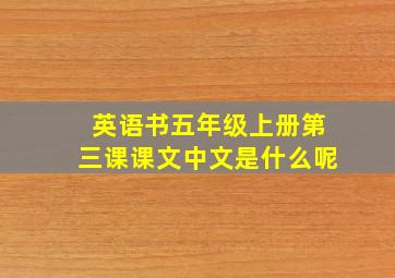 英语书五年级上册第三课课文中文是什么呢