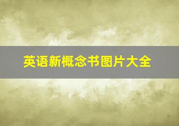 英语新概念书图片大全