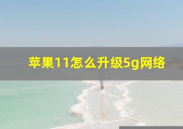 苹果11怎么升级5g网络