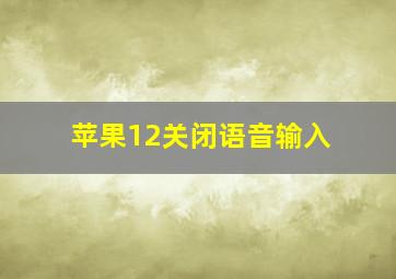 苹果12关闭语音输入