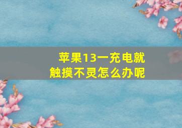 苹果13一充电就触摸不灵怎么办呢