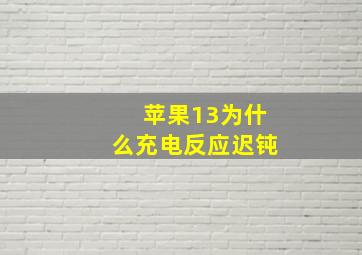 苹果13为什么充电反应迟钝