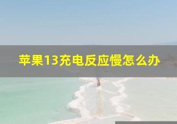 苹果13充电反应慢怎么办