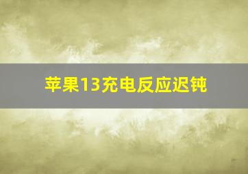 苹果13充电反应迟钝