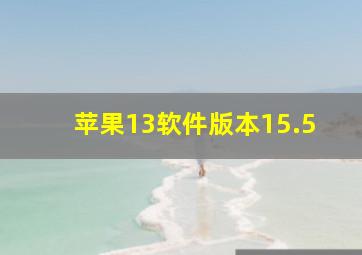 苹果13软件版本15.5