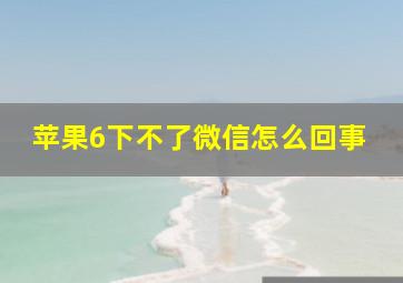 苹果6下不了微信怎么回事