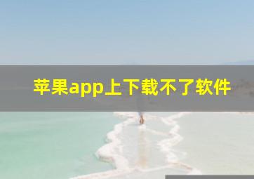 苹果app上下载不了软件