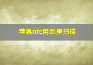 苹果nfc用哪里扫描