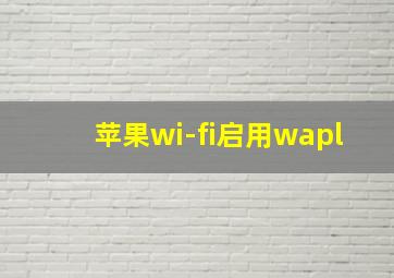 苹果wi-fi启用wapl