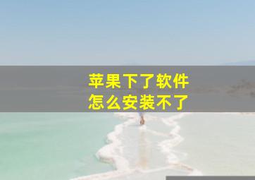 苹果下了软件怎么安装不了