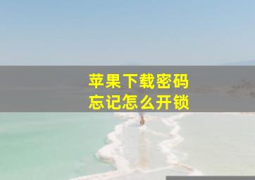 苹果下载密码忘记怎么开锁