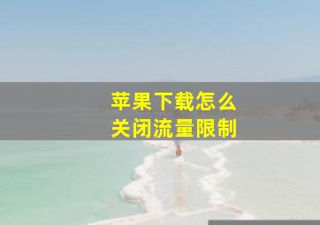 苹果下载怎么关闭流量限制